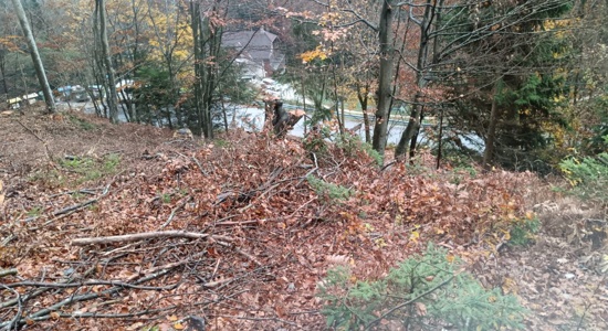 Zemljišče Jav.Rovt